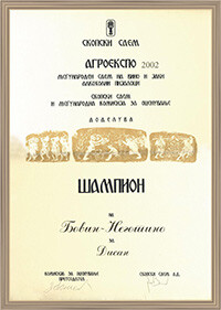 Award-2002